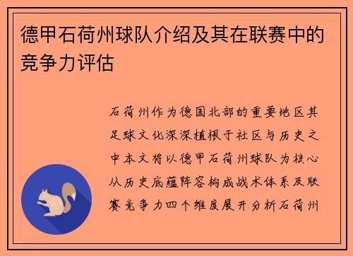德甲石荷州球队介绍及其在联赛中的竞争力评估